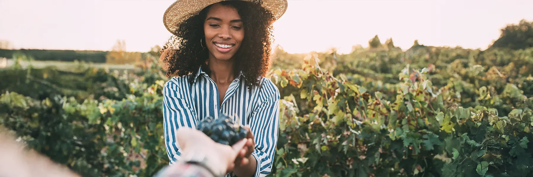 Clever Winery Website